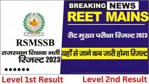 result of reet main exam