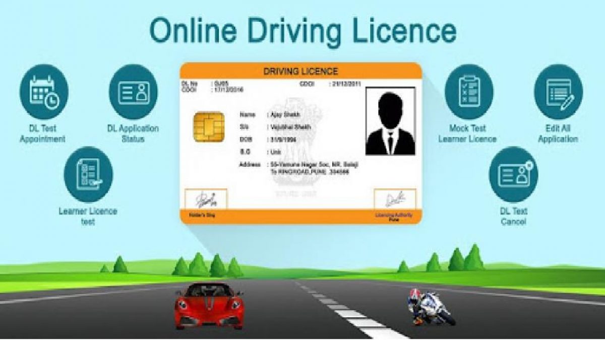 E Driving Licence