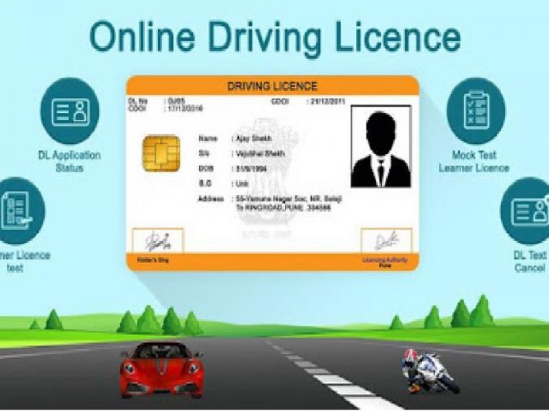 E Driving Licence