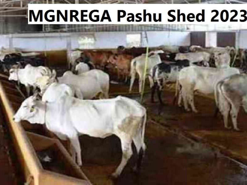 MGNREGA Pashu Shed 2023