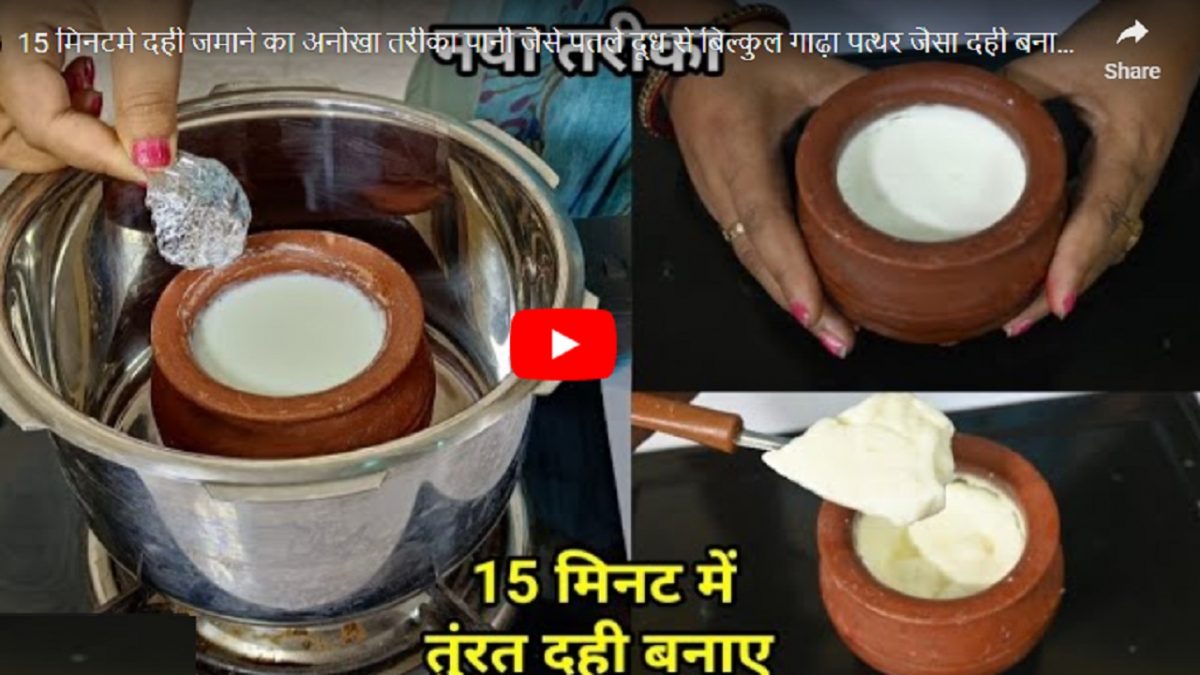 curd recipe