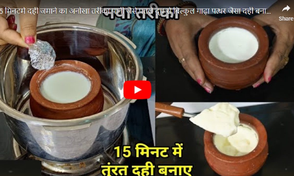 curd recipe