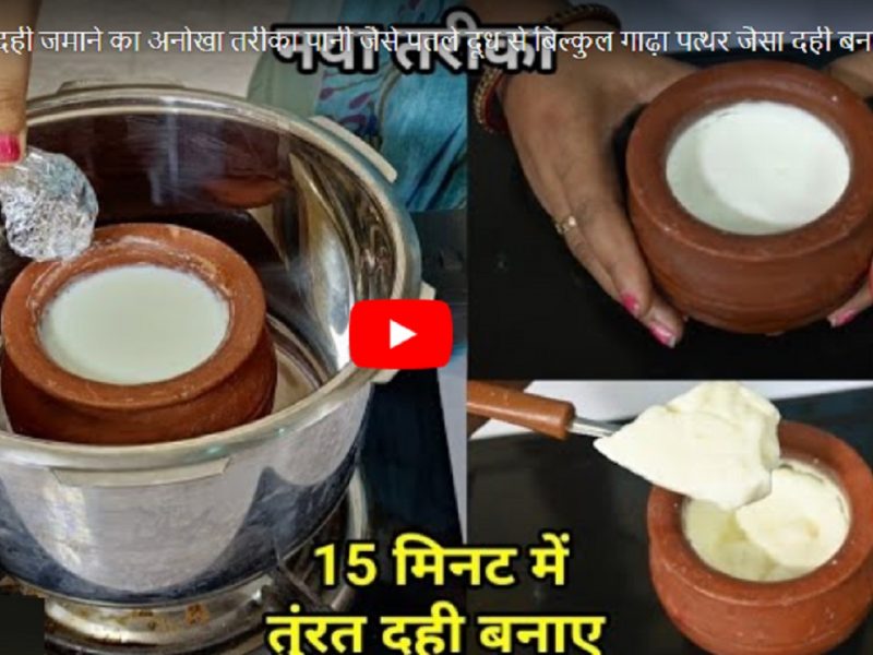 curd recipe