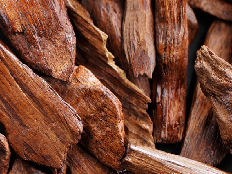 Sandalwood Business Plan