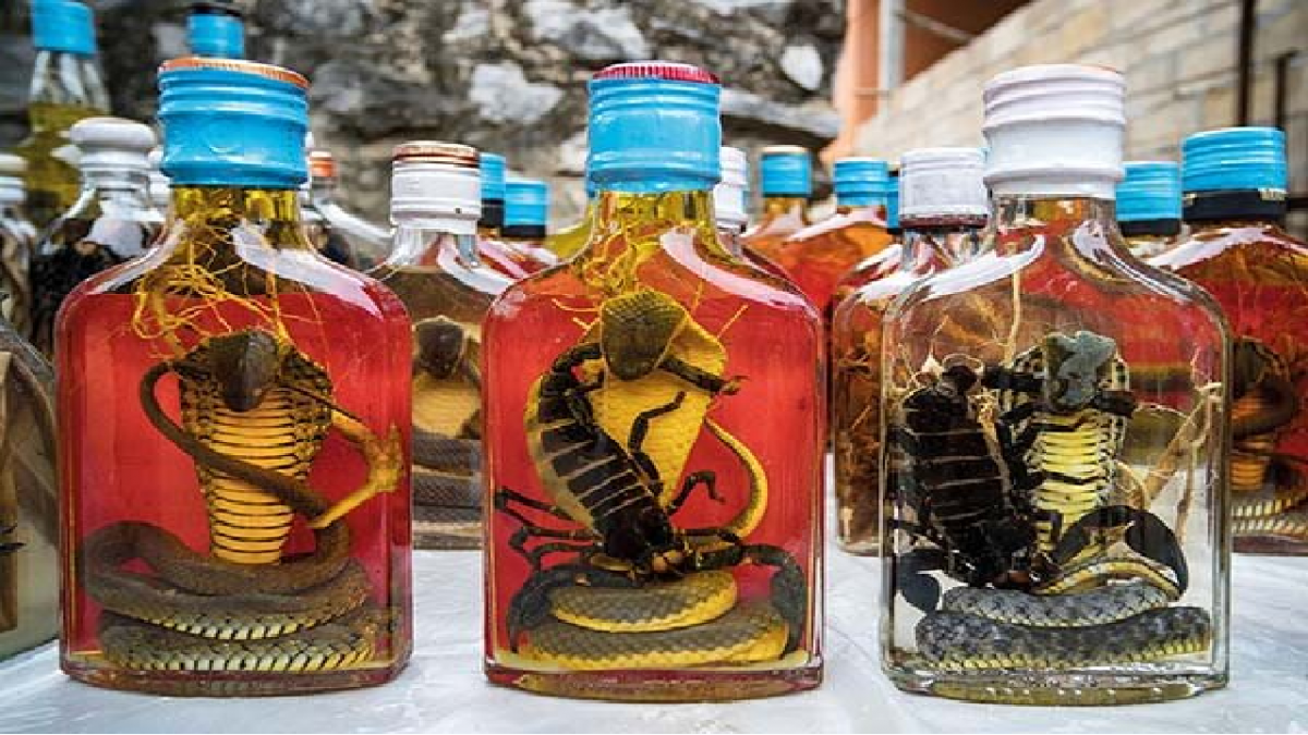 Snake Wine