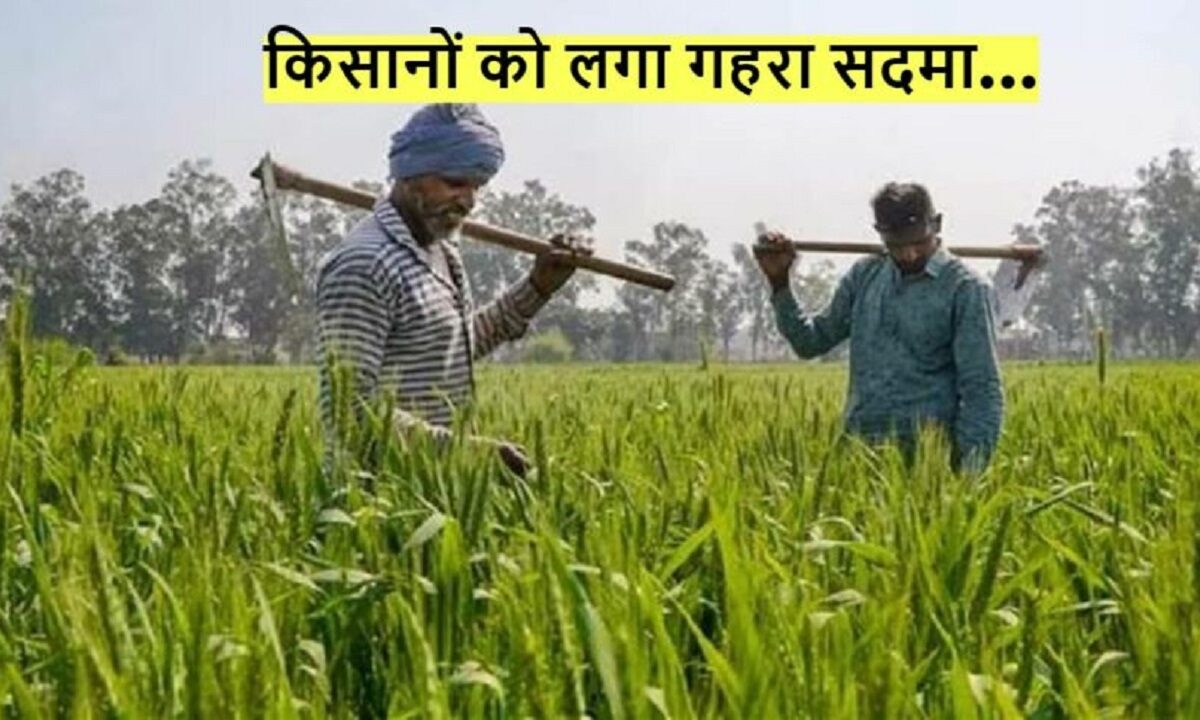 PM KISAN YOJANA