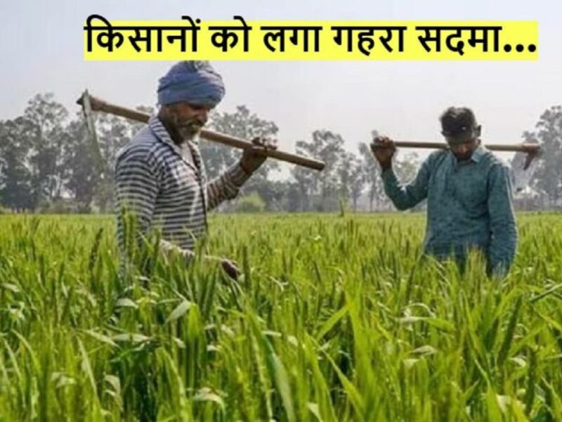 PM KISAN YOJANA