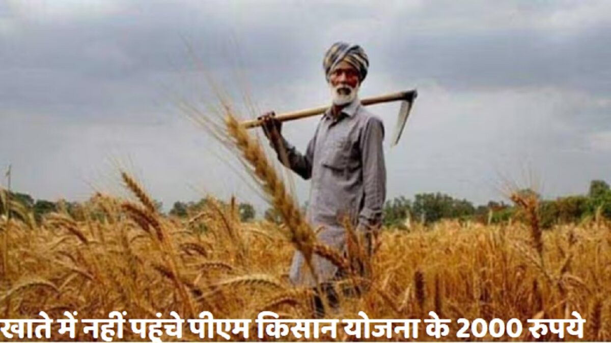 PM Kisan Yojana