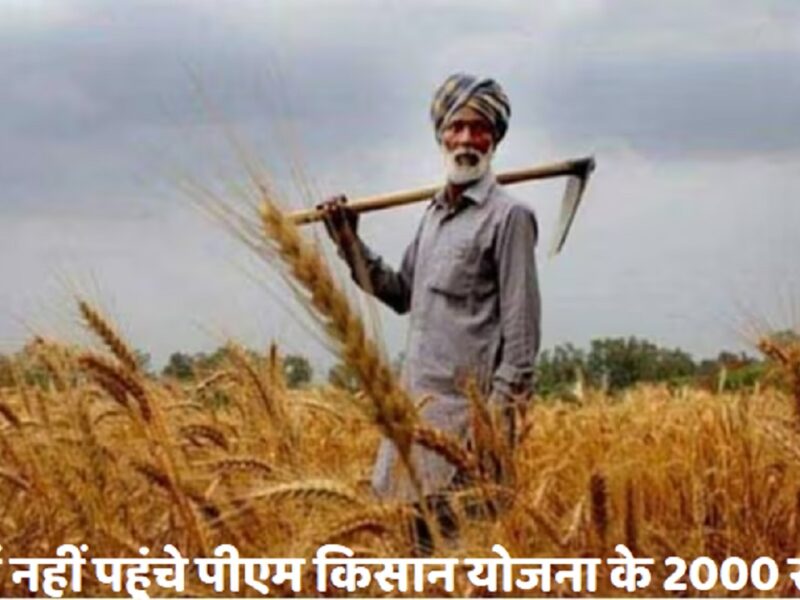 PM Kisan Yojana