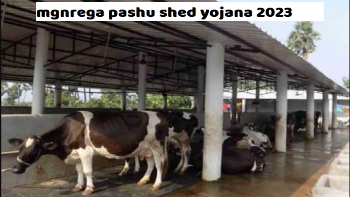 mgnrega pashu shed yojana 2023