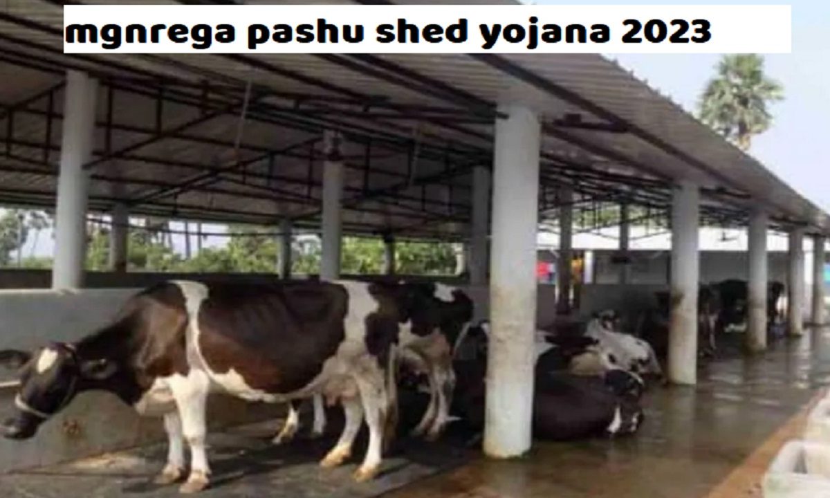 mgnrega pashu shed yojana 2023