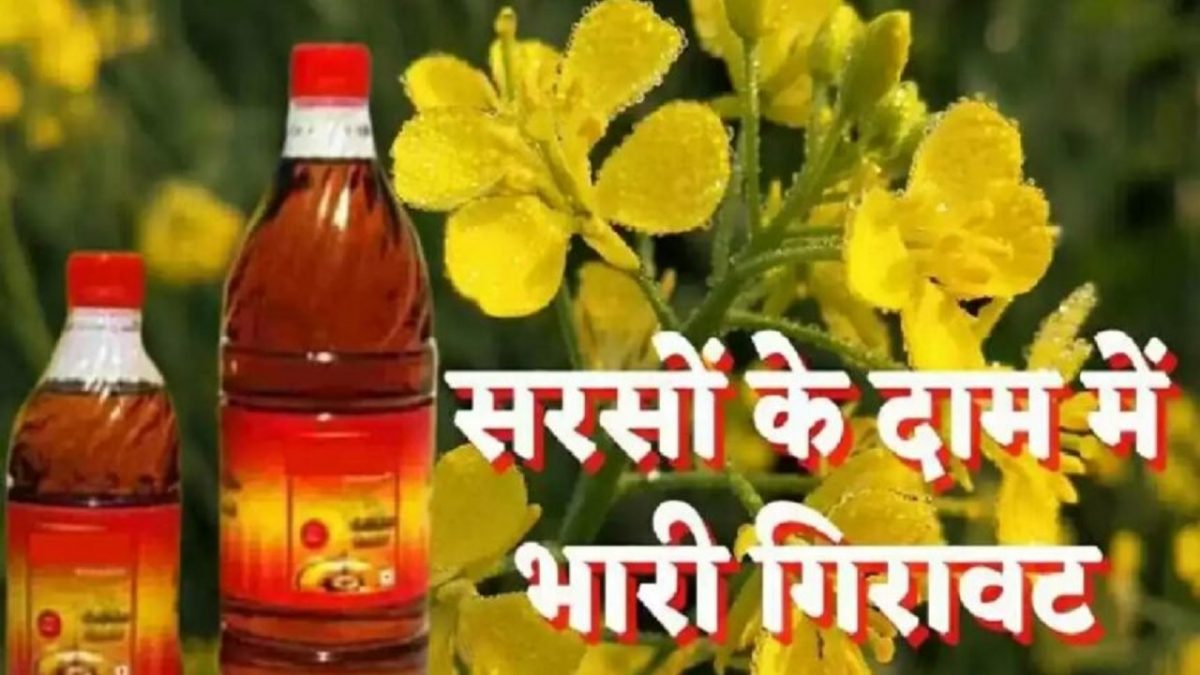 mustard oil rate