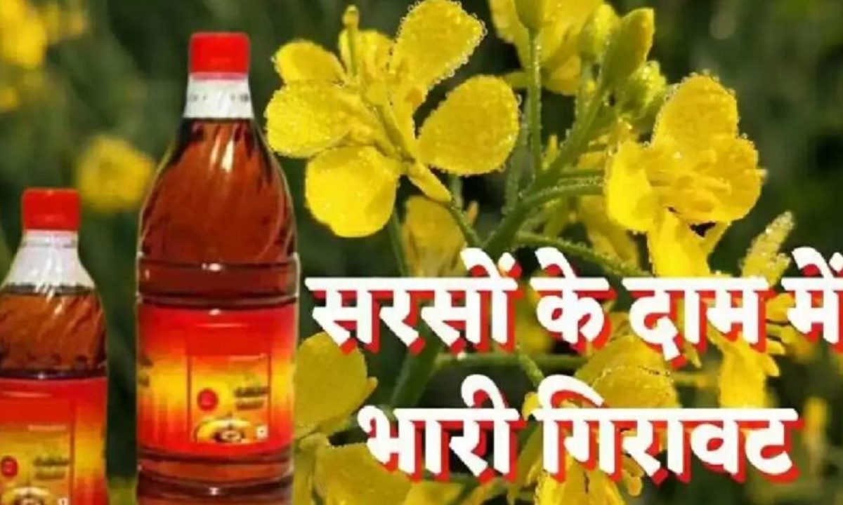 mustard oil rate