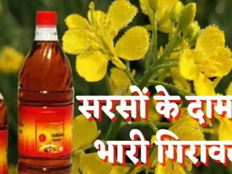 mustard oil rate