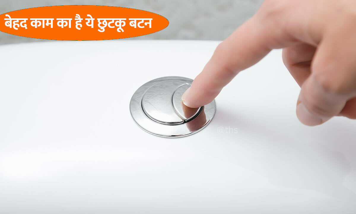 toilet button