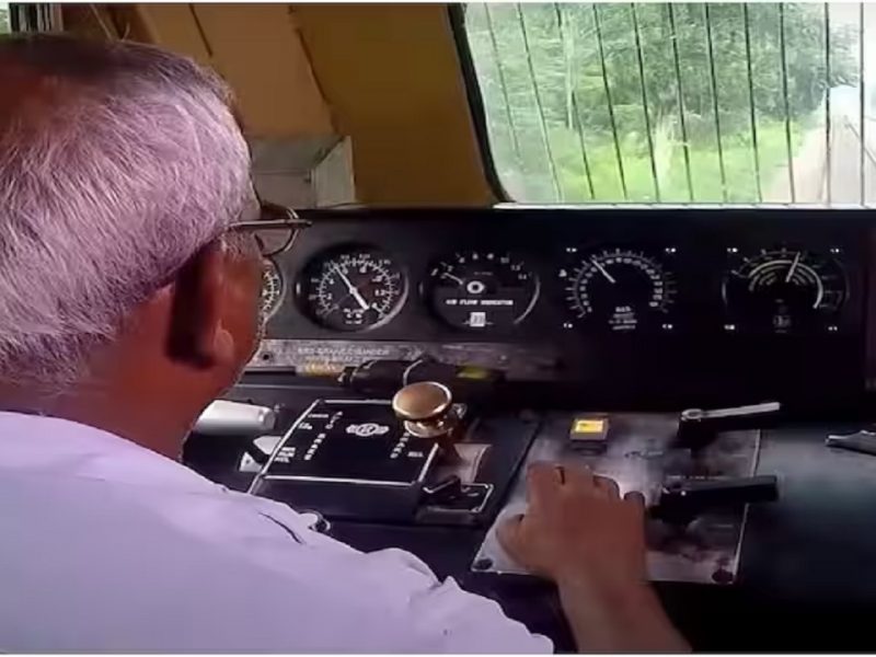 work of train loco pilot