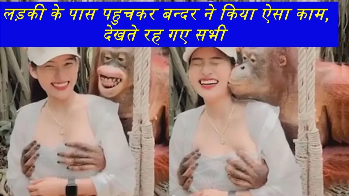 Bandar Ka Video: