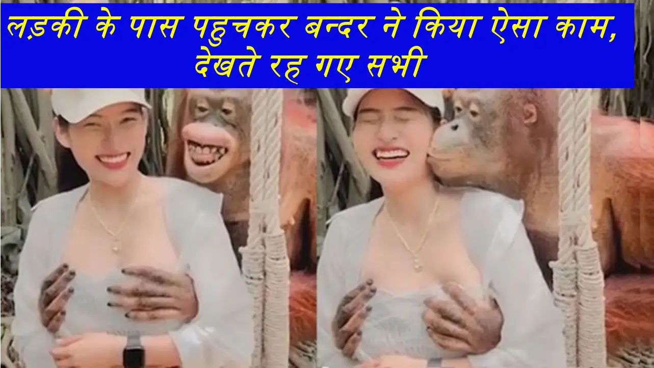 Bandar Ka Video: