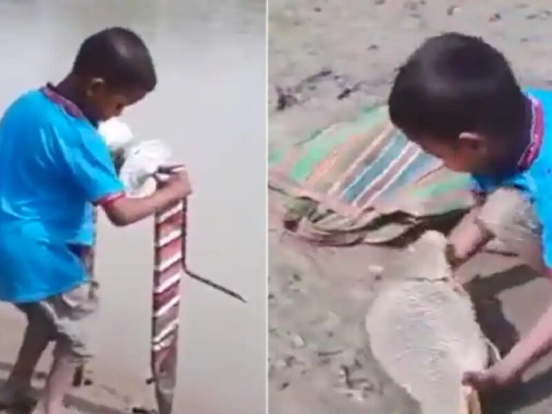 Boy Fishing Viral Video