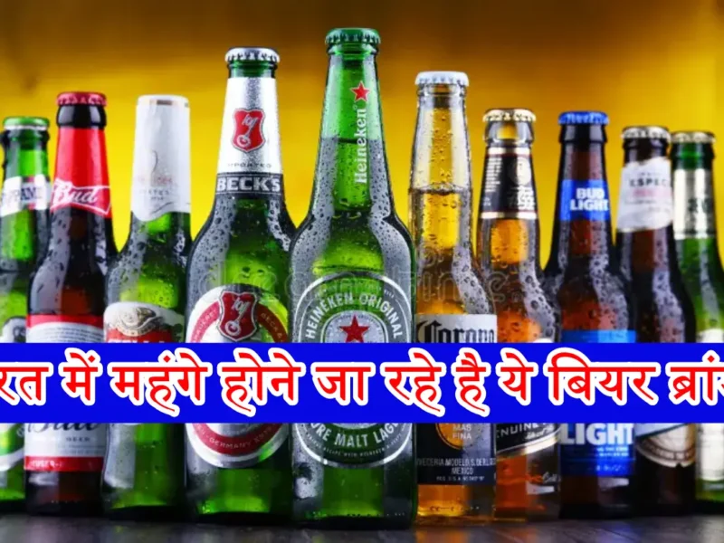 India's Top Beer Brands
