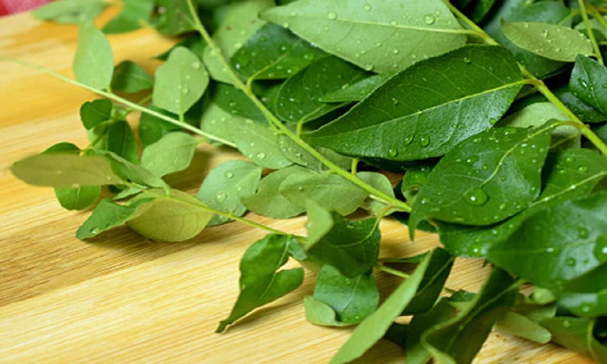 Curry Leaves Benefits