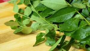 Curry Leaves Benefits