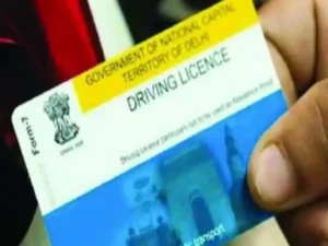 Driving Lisense Rule