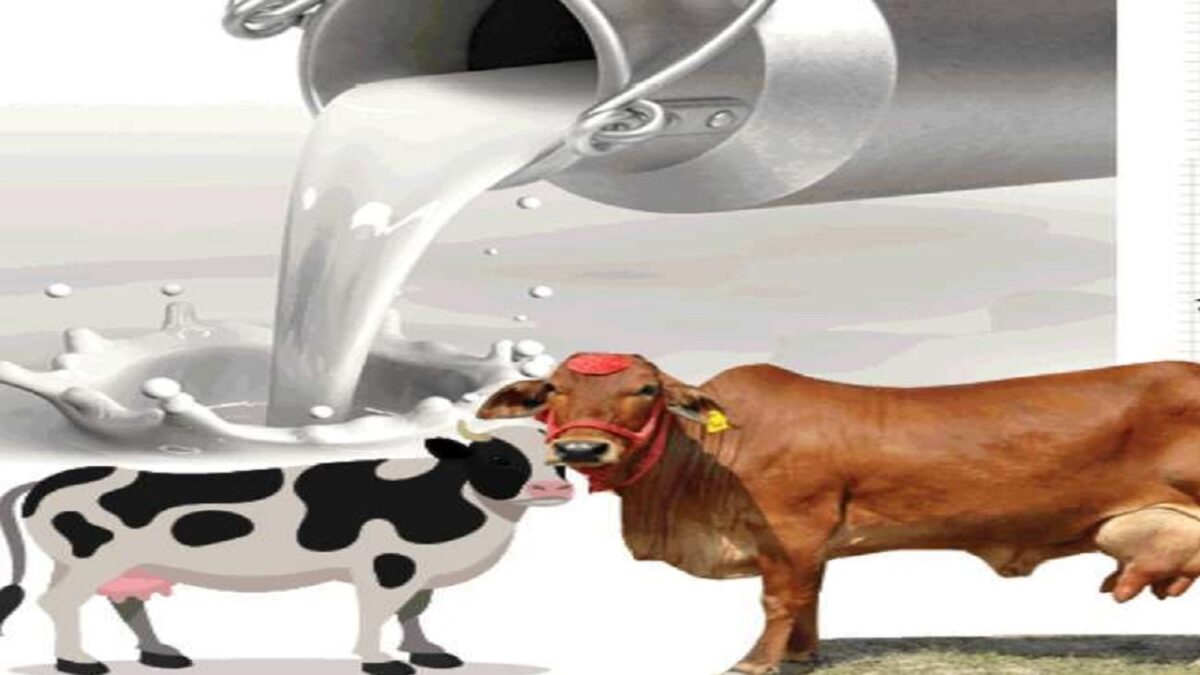 Nandani Krishak Samriddhi Yojana