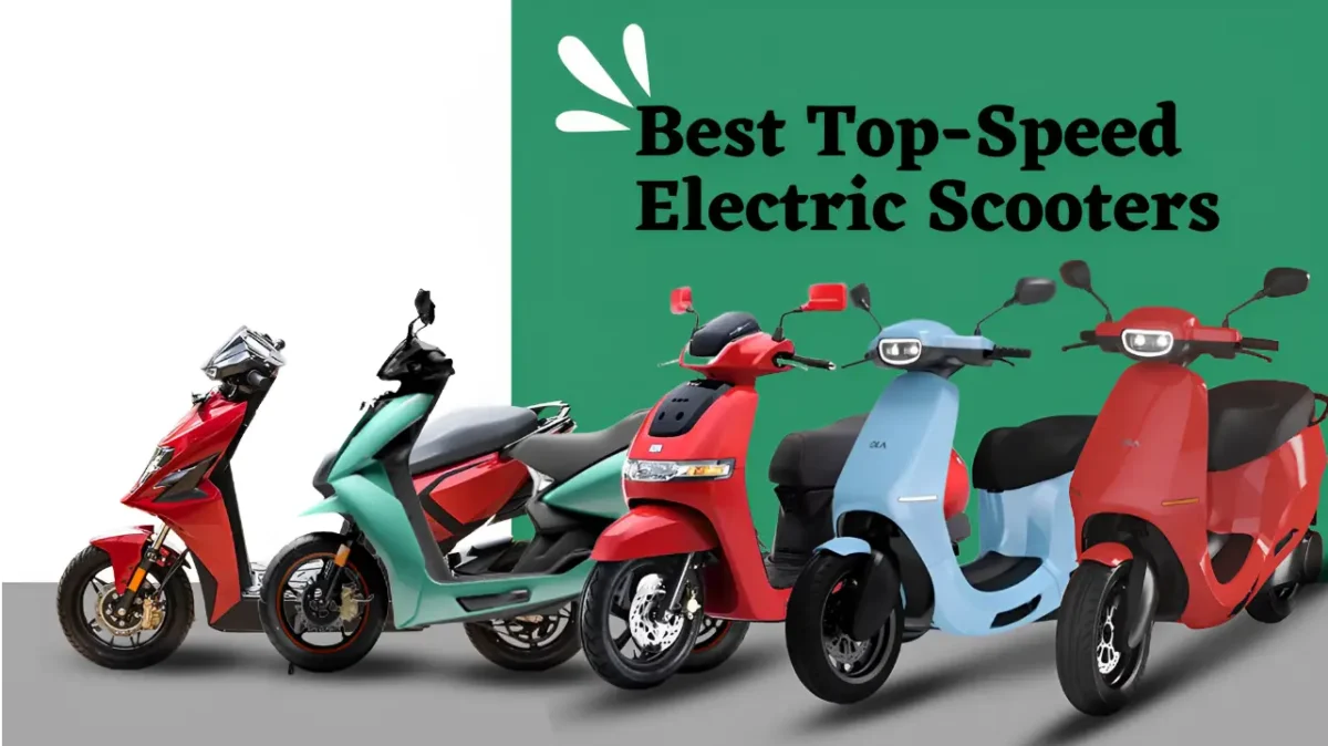 Popular Electric Scooter 