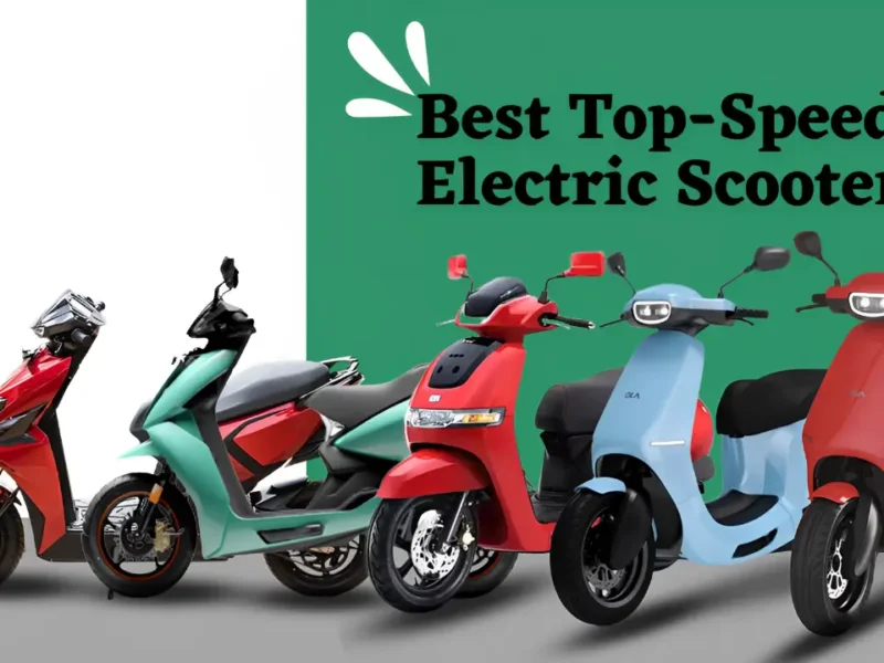 Popular Electric Scooter 