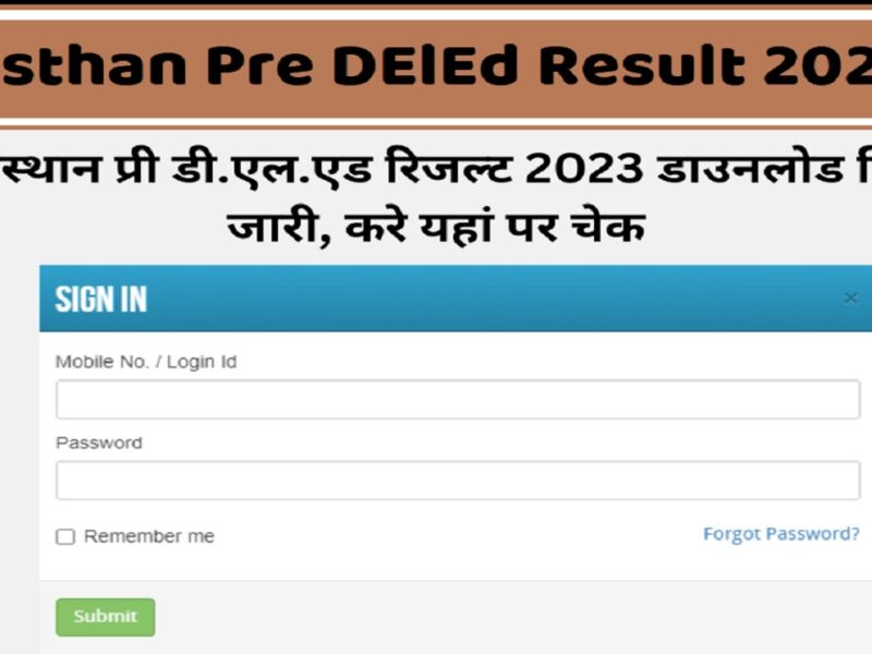 Rajasthan Pre DElEd Result 2023