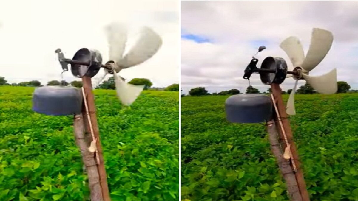 farmer used a wonderful trick