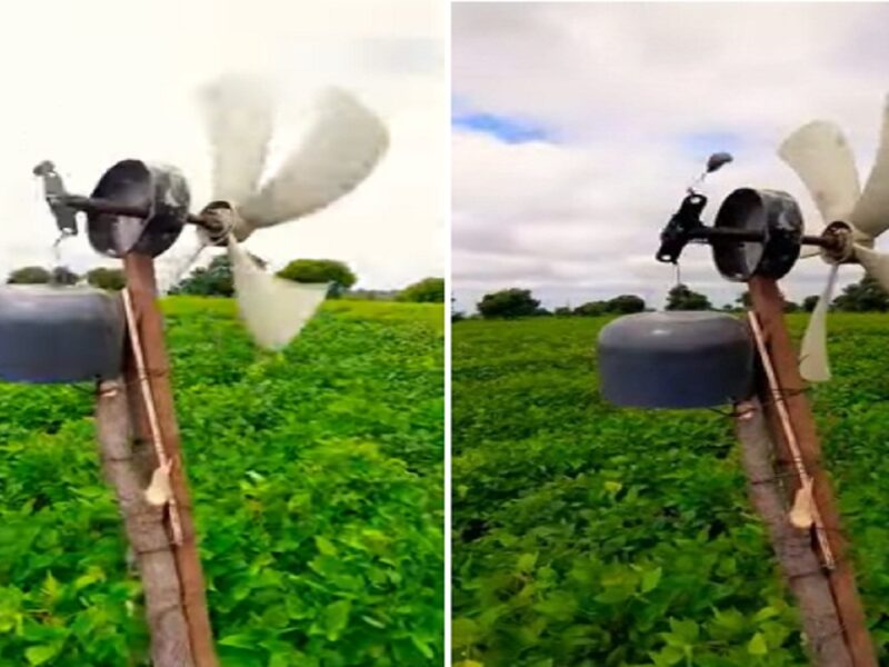 farmer used a wonderful trick