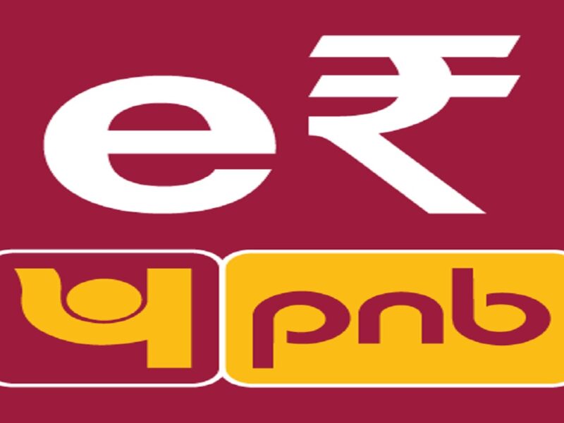 pnb digital rupee app