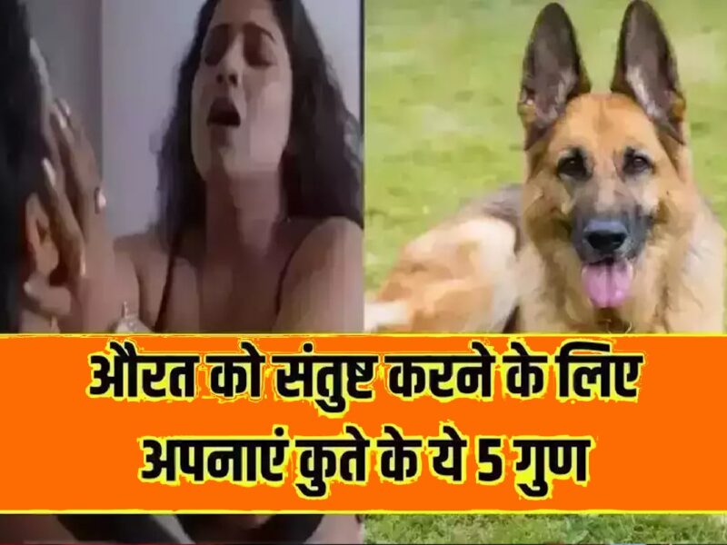 5 Qualities-of-a-dog Should Be In Men