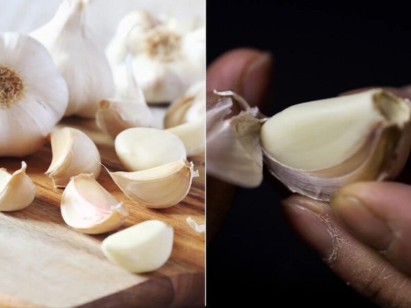 Fake garlic made in China