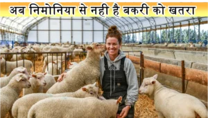 Solar Dry Winter Protection System