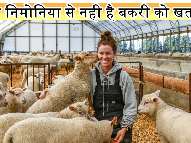 Solar Dry Winter Protection System