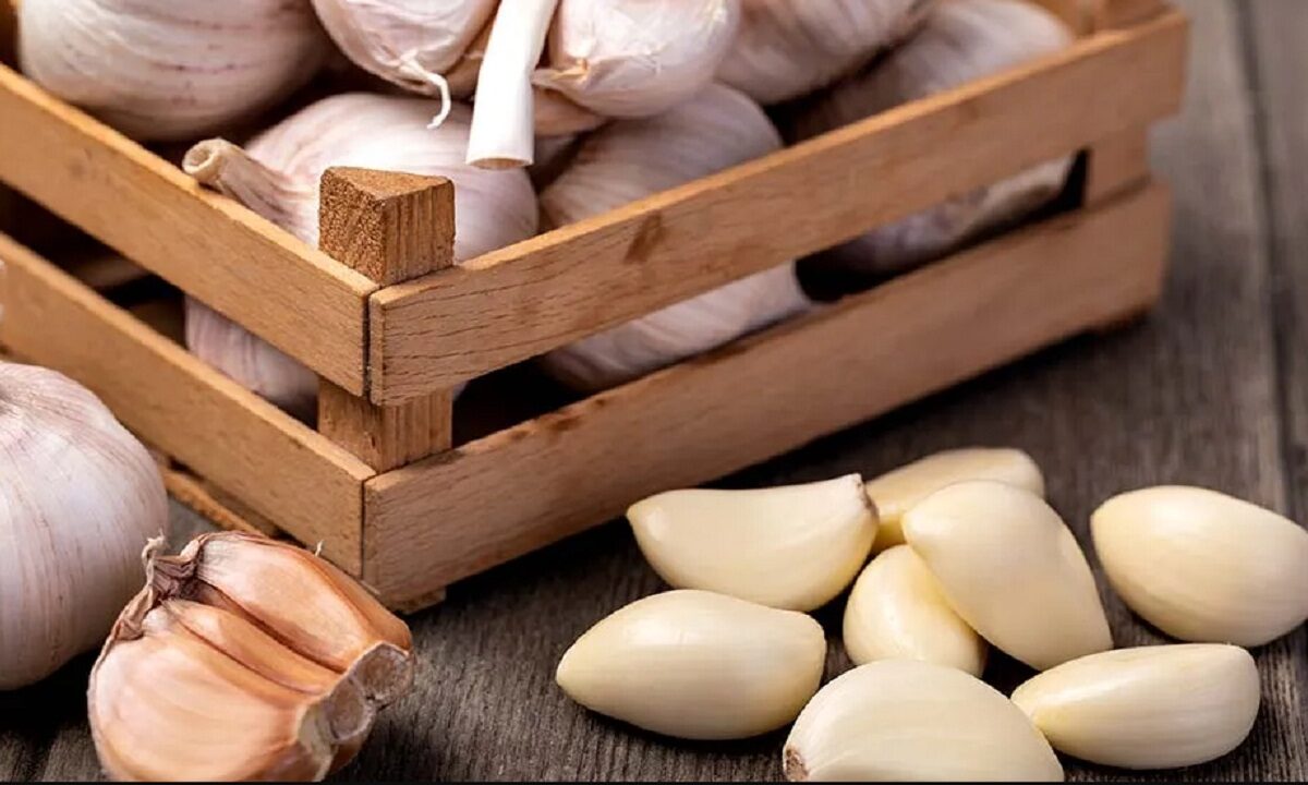 garlic benefits