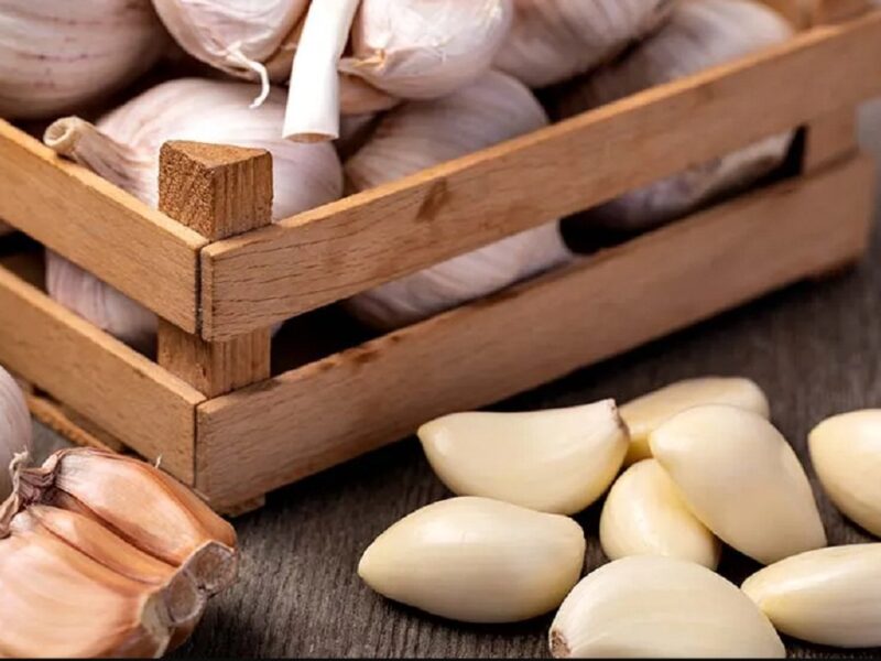 garlic benefits
