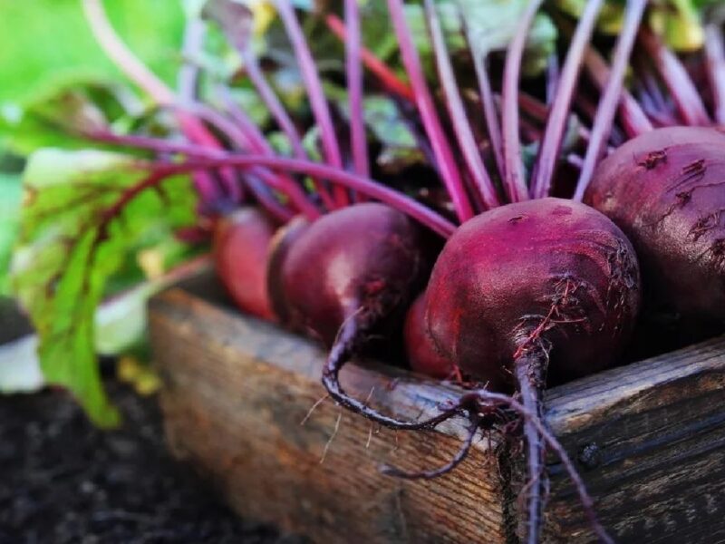 Benefits Of Beetroot Juice