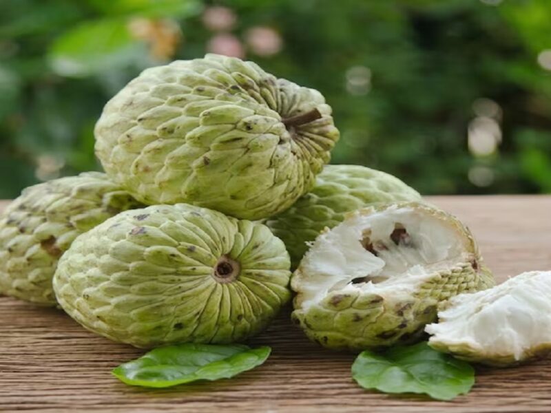 Benefits of Custard Apple