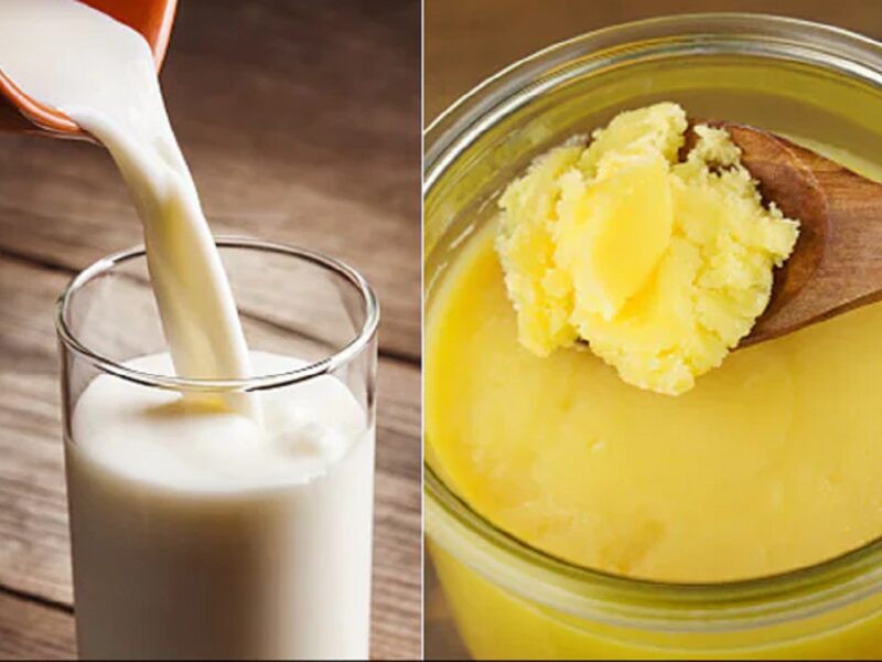 Ghee Mixed With Milk
