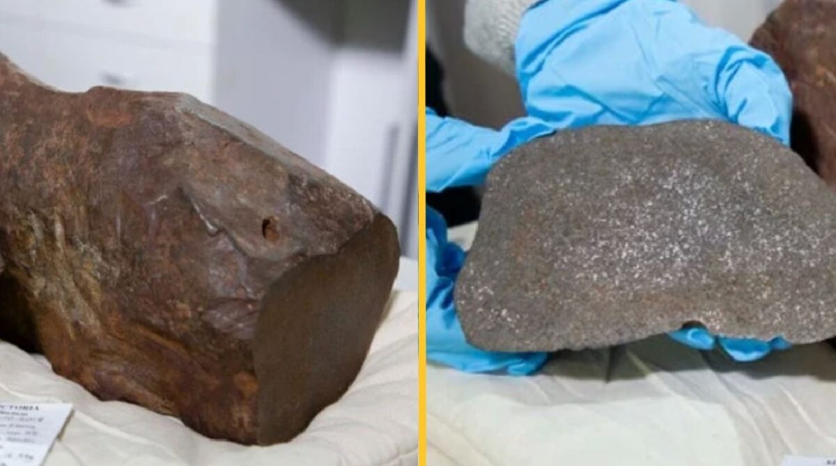 Man Keeps Rock For Years Thinking Its Gold Turned Out More Valuable Rare Meteorite