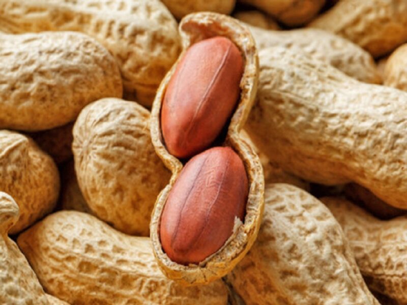 peanut consumption
