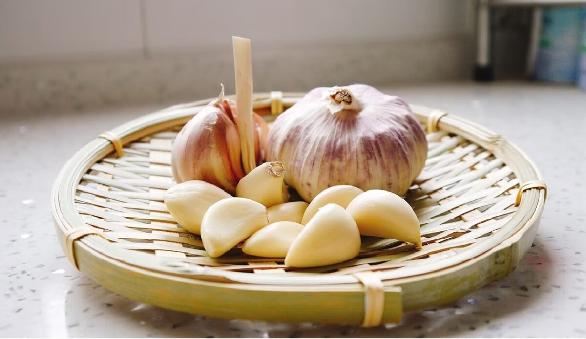 Benefits Of Consuming Garlic