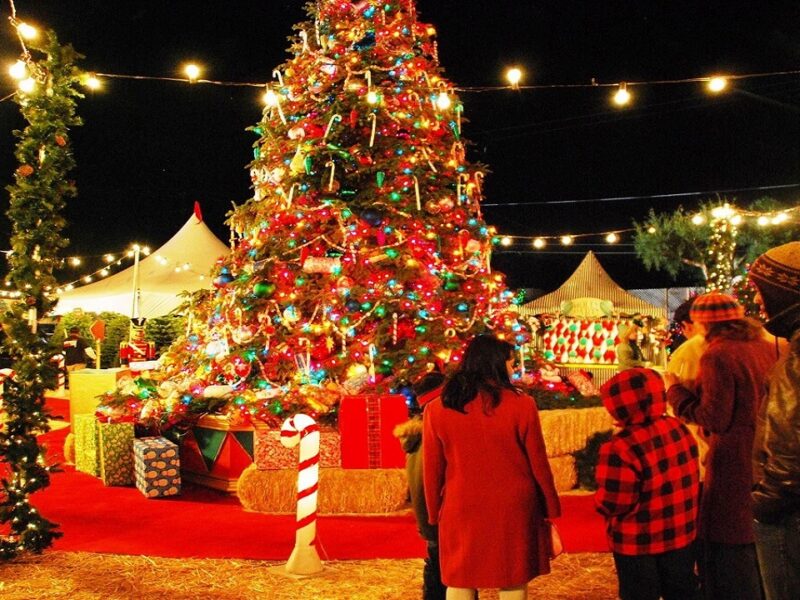 christmas day celebration