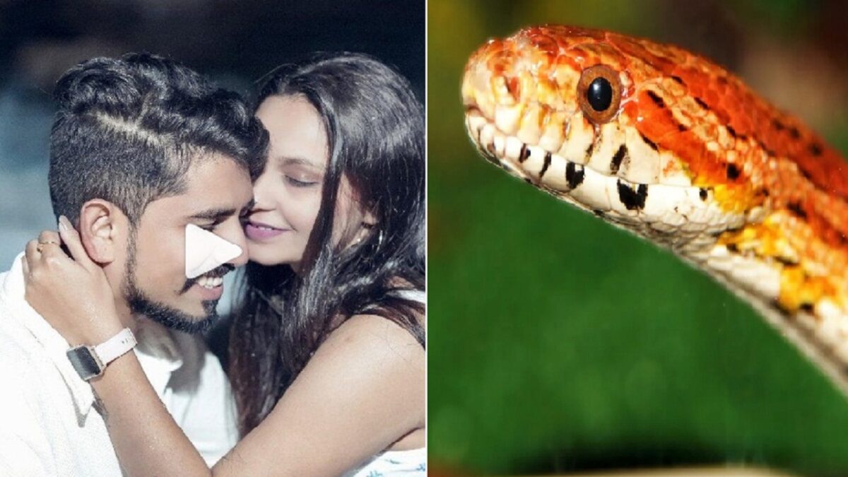 pre-wedding shoot video