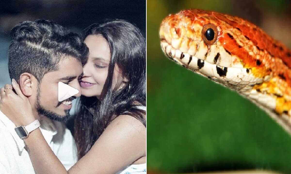 pre-wedding shoot video