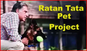 Pet Project